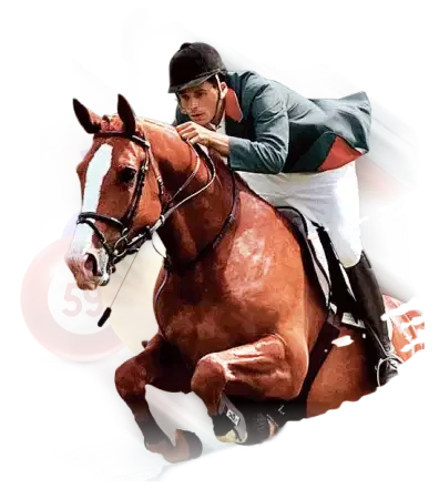 彩票资讯:先看规则,再看内容相关内容 2